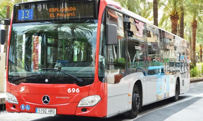 autobus alicante san juan campus - Cómo llegar a la Playa de San Juan Alicante