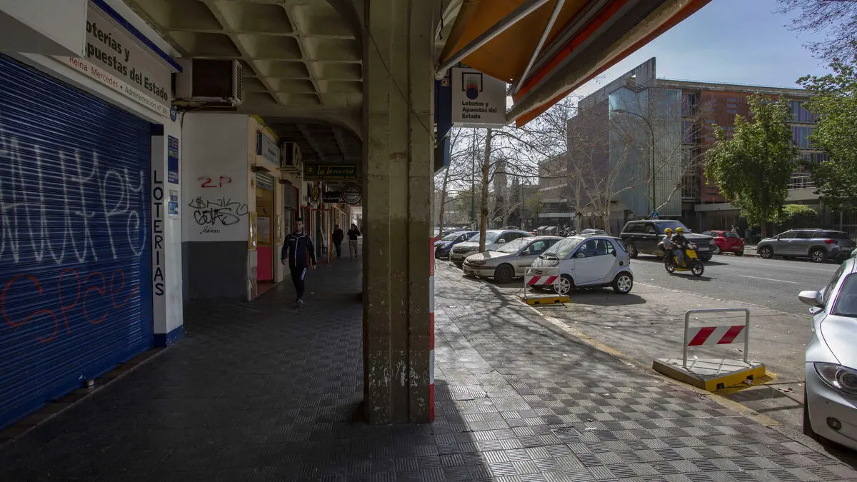 barrio campus reina mercedes sevilla - Cómo se llama la zona de la Universidad de Sevilla