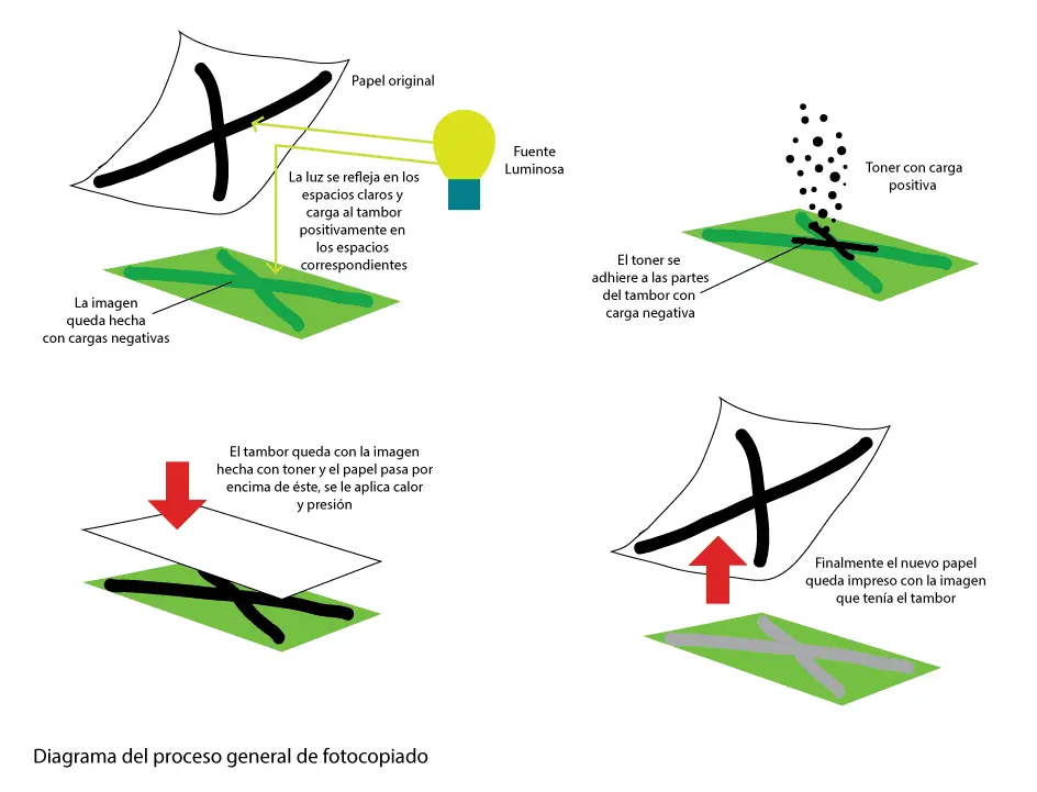 como funciona una fotocopiadora fisicamente - Cuáles son las características de una fotocopiadora