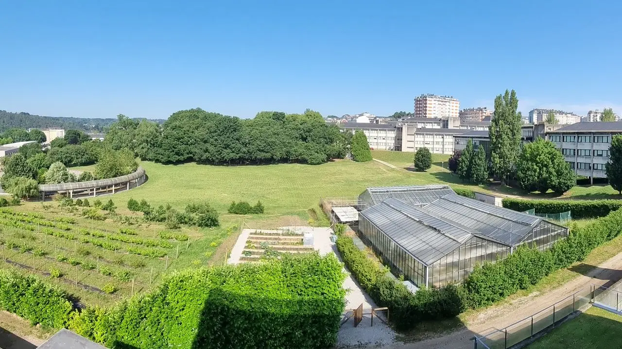 campus de lugo fundacion - Cuándo se fundó la Universidad de Santiago de Compostela