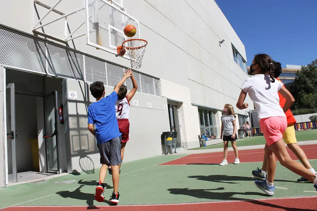 campus de baloncesto de verano en europa - Cuántas ligas europeas de baloncesto hay