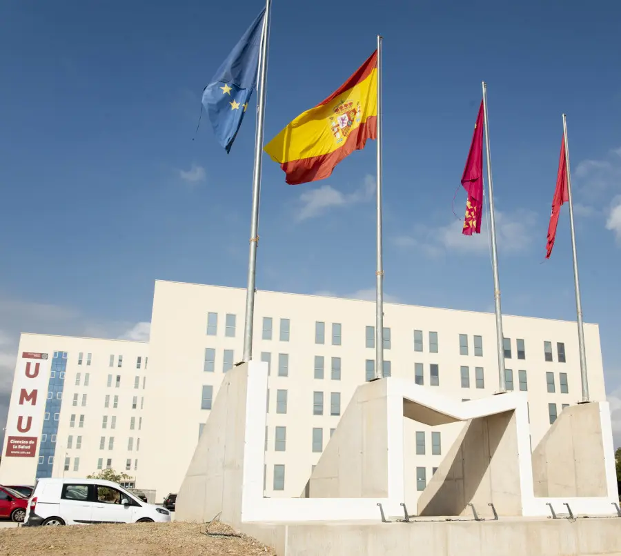 campus.de la.salud murcia - Cuántas zonas de salud hay en Murcia