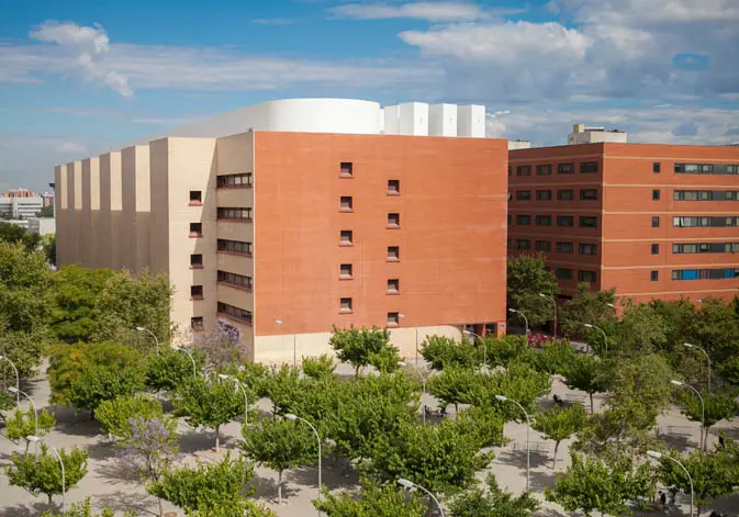 campus universitad de valencia - Cuánto vale una carrera en la Universidad de Valencia