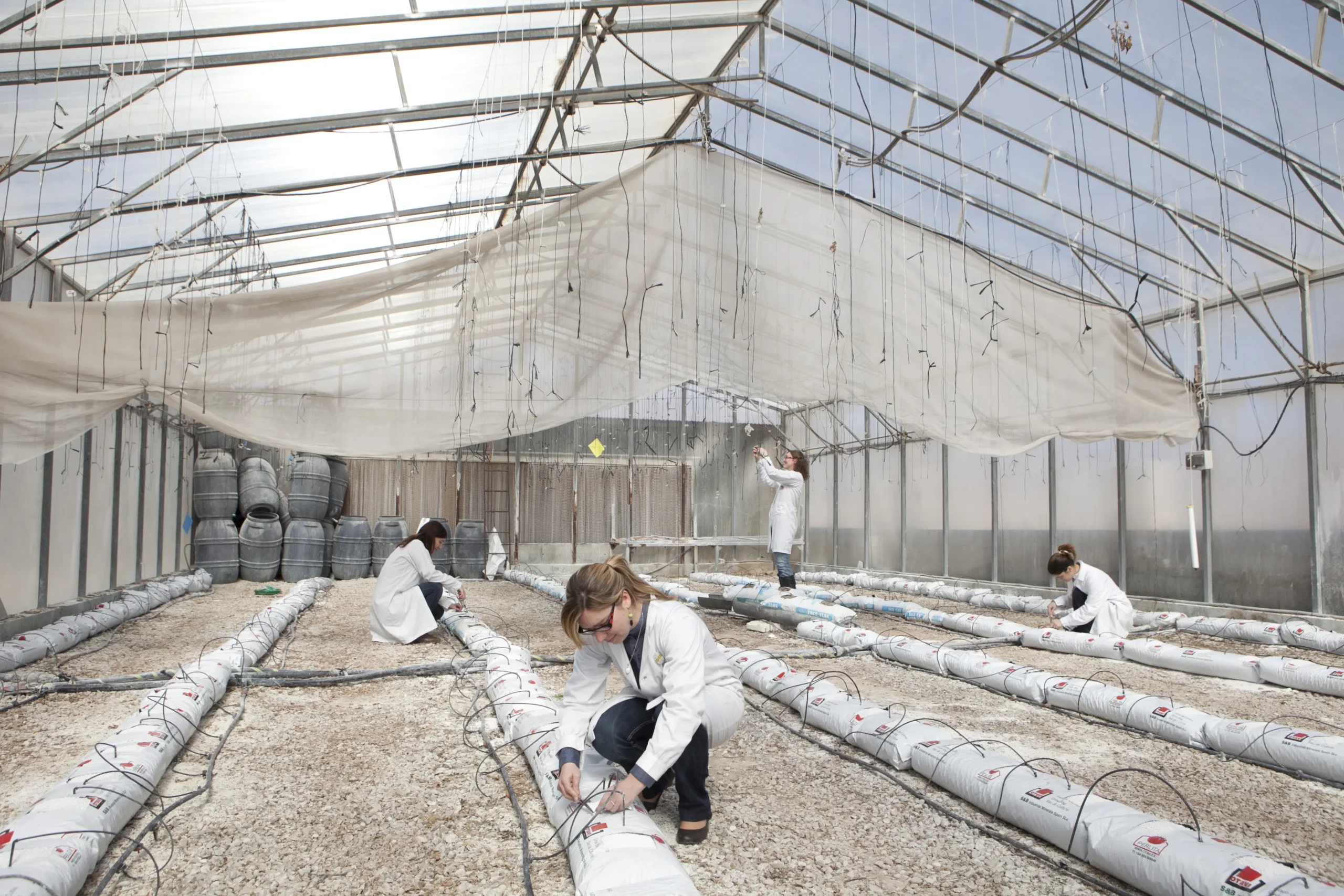 campus ingenieria agronoma unigersidad orihuela - Dónde estudiar Ingeniero Agrónomo en España