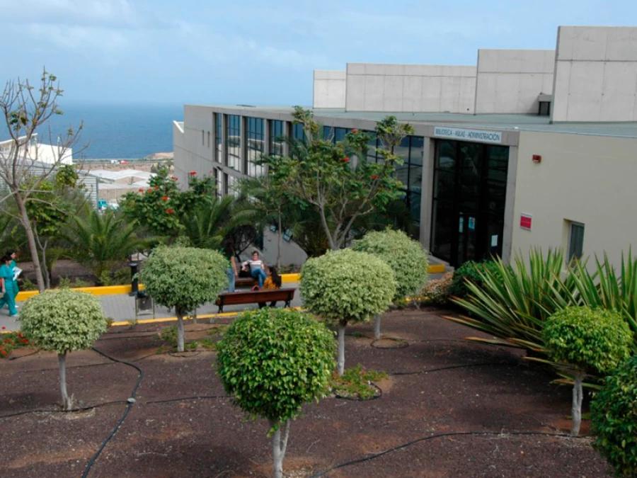 campus de facultad de veterinaria gran canaria - Dónde se estudia Veterinaria en Las Palmas