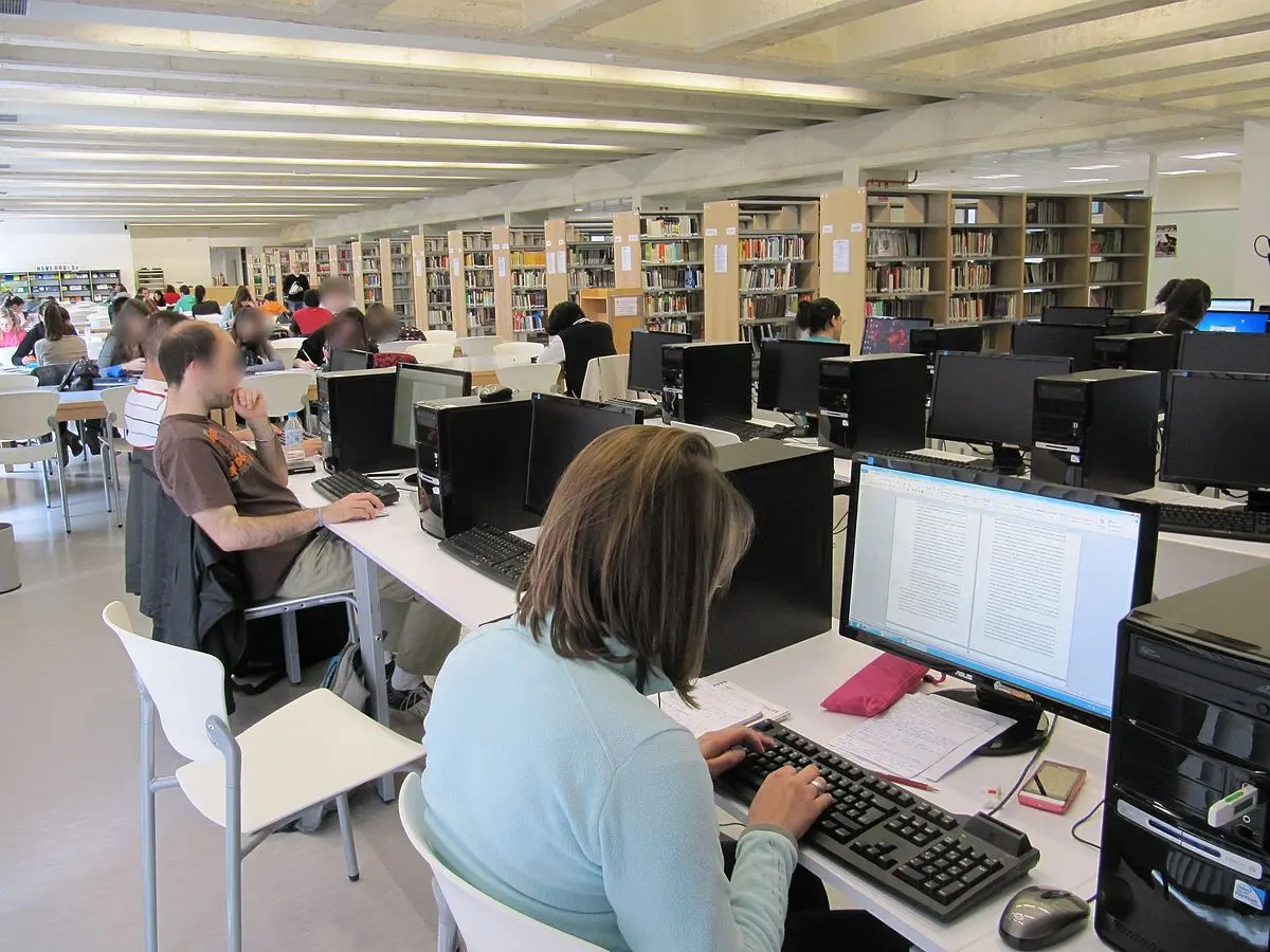 como ir del campus miguel delibes a covaresa - Qué días hay búhos en Valladolid