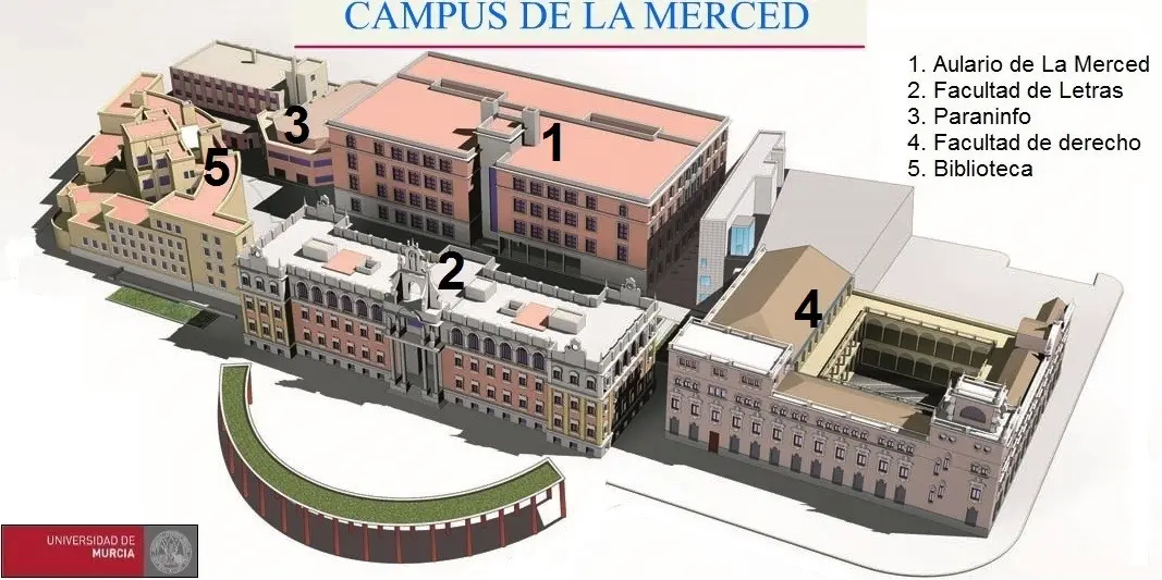 campus de la merced murcia como llegar - Qué empresas de transporte van a La Merced