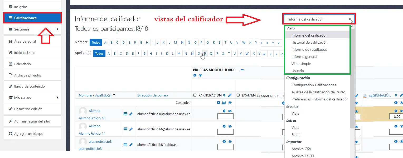 calificaciones externa campus virtual - Qué es un item de calificacion en Moodle