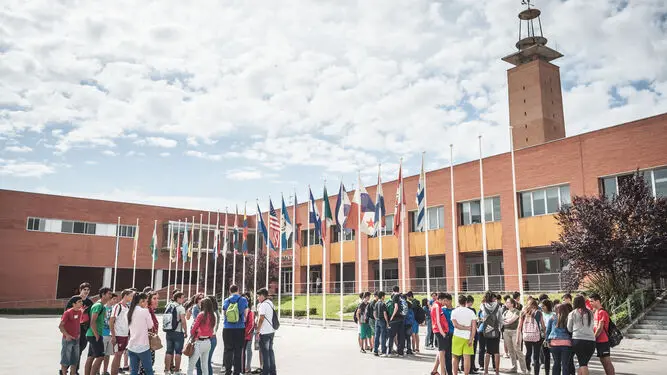 campus grado en historia en sevilla - Qué salidas tiene el Grado en Historia