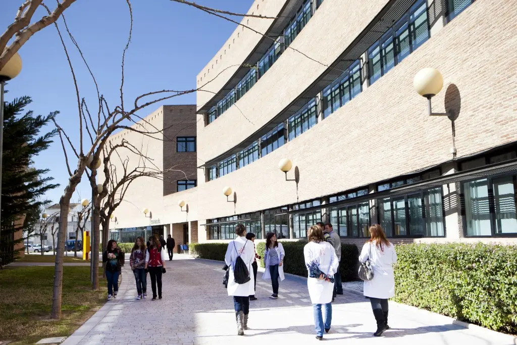 campus de orihuela psicología - Que se puede estudiar en la Universidad Miguel Hernández Orihuela