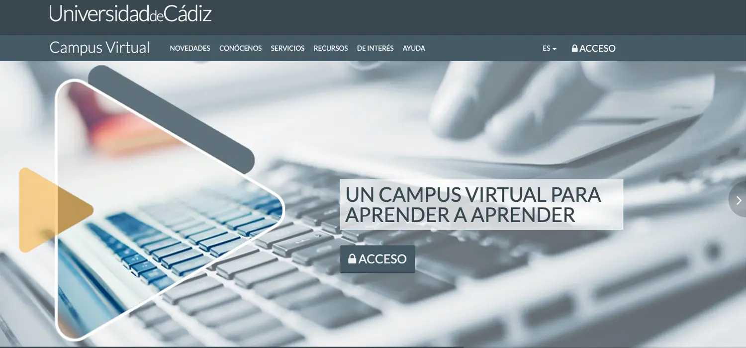 campus virtual.delegación digital - Que vende la empresa PDS