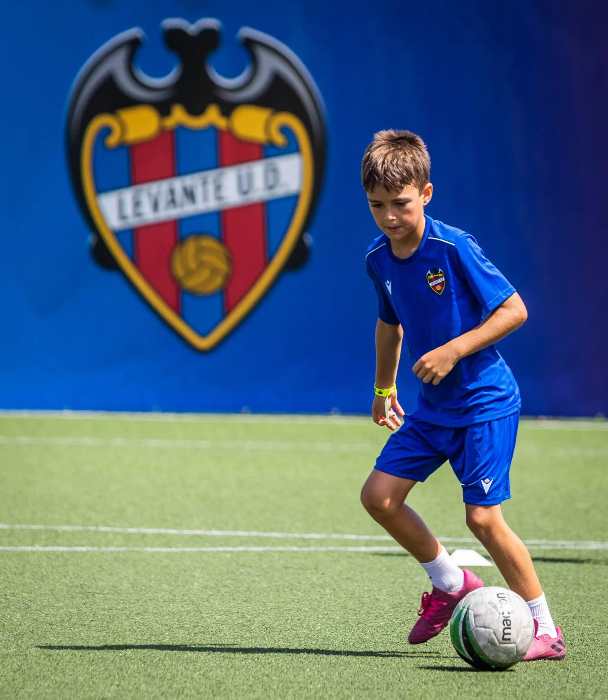 campus deportivo levante - Quién es el dueño del Levante